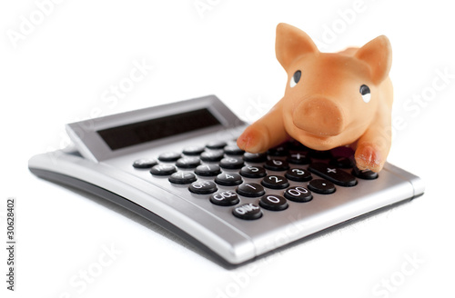 Photo: calcul de cochon calcul de cochon