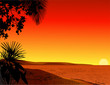 tropical beach background tropical beach background