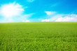 Foto: Umwelt Umwelt