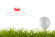 Golf ball on green tee Golf ball on green tee