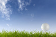 Golf ball on green tee Golf ball on green tee