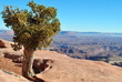 Canyonlands - Utah Etats-Unis