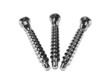 Screw