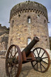 Medieval cannon in Glenstal Abbey in Co. Limerick - Ireland Medieval cannon in Glenstal Abbey in Co. Limerick - Ireland