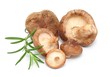 Shiitake, Rosmarin