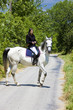 equestrian on horseback