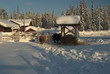 Livestock in winter Livestock in winter