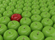 One red apple on a background of green apples