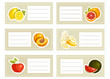 Back to school stickers with fruits, vector illustration