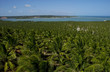 Brasil,Alagoas,Barra de Sao Miguel