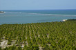 Brasil,Alagoas,Barra de Sao Miguel