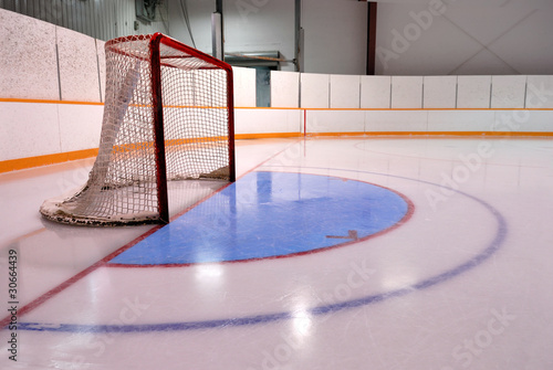 Photo: Hockey or Ringette Net and Crease in the Rink Hockey or Ringette Net and Crease in the Rink