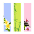 Vektor: Collection of vertical spa banners with bamboo and orchids Collection of vertical spa banners with bamboo and orchids