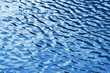 water texture