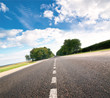 Asphalt road in green sunset meadow Asphalt road in green sunset meadow