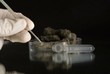 Microorganism selection