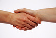 Handschlag neural