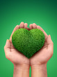 hands holding a heart symbol made of grass
