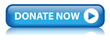 "DONATE NOW" Web Button (donation give charity money contribute)