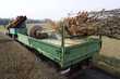 Baumpflanzung_4908