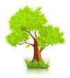 Green Tree