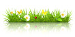 Green grass