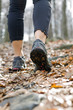 Hiking in autumn forest Hiking in autumn forest