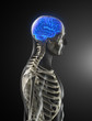 Glowing human brain