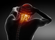 Male Jugular Spine Scan Male Jugular Spine Scan
