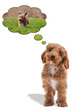 Photo: Puppy thinking about going for a walk Puppy thinking about going for a walk
