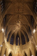 Cathedral of St. Patrick