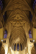 Ceiling Cathedral of St. Patrick