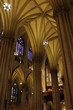 Columns of cathedral st. patrick