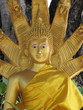 golden buddha in thai temple golden buddha in thai temple