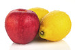 lemon apple isolated on a white background.