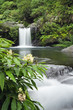 Cascade dans écrin de verdure - Ile de la Réunion