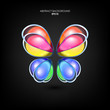 Vector butterfly background