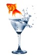 goldfish