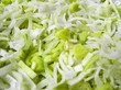 leek salas