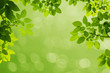 Green Leaves background Green Leaves background
