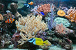 Aquarium