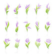 Flowers. Elements for design. Vector logo template set.