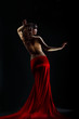 The girl in the red The girl in the red