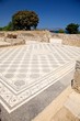 black and white ancient mosaic floor