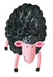 Black sheep