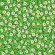 Daisies and clover pattern