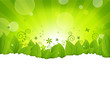 Nature Background Nature Background