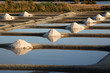 marais salants de guerande tas de sel marais salants de guerande tas de sel