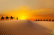 Photo: Travel with camel Travel with camel