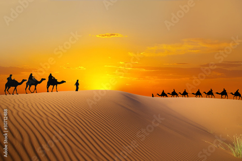 Photo : Travel with camel Travel with camel